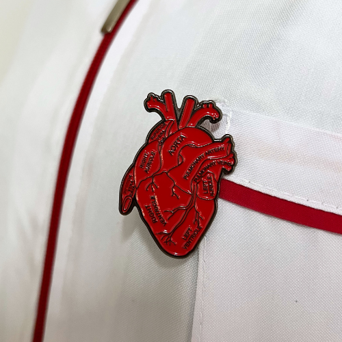 Anatomic heart pin